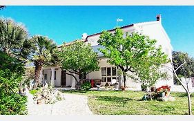 Apartman Miljenko - Matovica